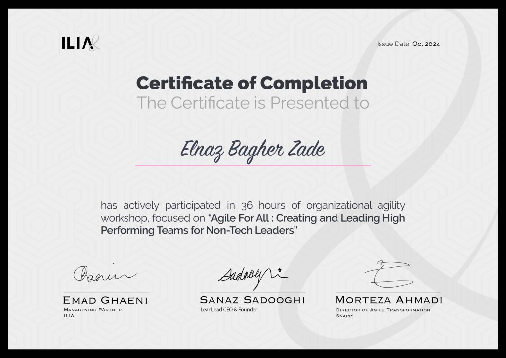 Elnaz Bagher Zade's Certificates from the Agile for All Course